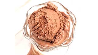 Gourmia Chocolate Ice Cream Recipe