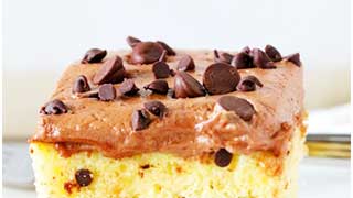 Hesh's Chocolate Chip Cake Recipe