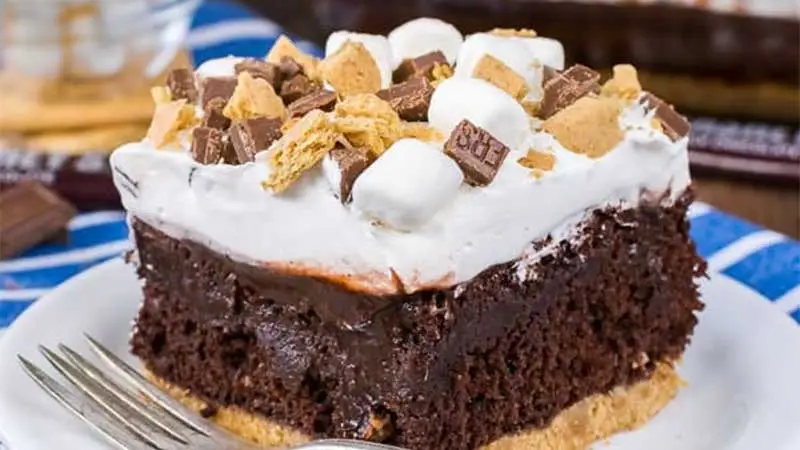 Chocolate S'mores Pudding Cake Recipe