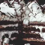 Hot Chocolate Cake Recipe