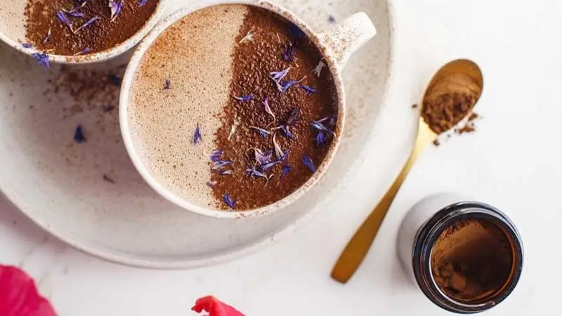 Mushroom Hot Chocolate Recipe