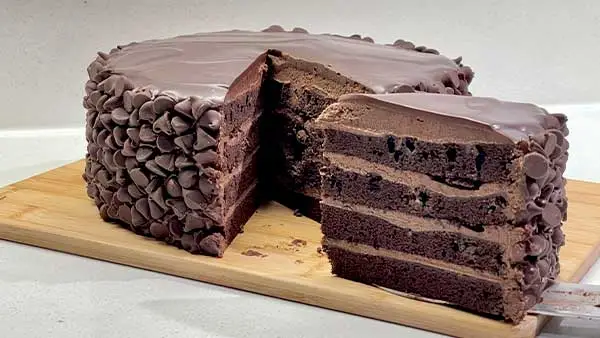 150 Hour Chocolate Cake Recipe v -