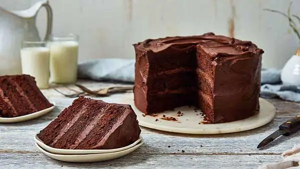 Chocolate Cake Recipe With Self Rising Flour |