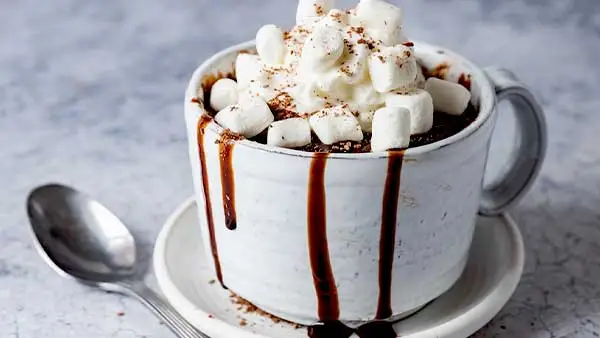 Hot Chocolate Cake In A Mug Recipe v |