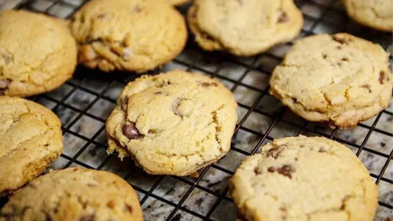 Mouthwatering Chocolate Chunk Cookies |