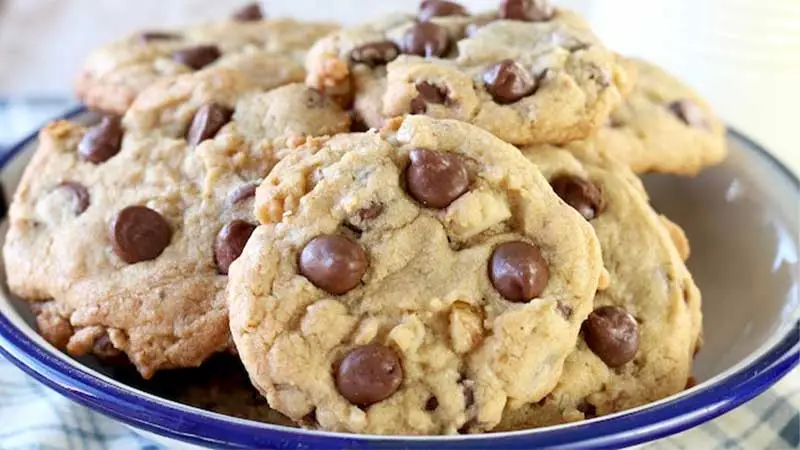Walnut Chocolate Chip Cookie Recipe |
