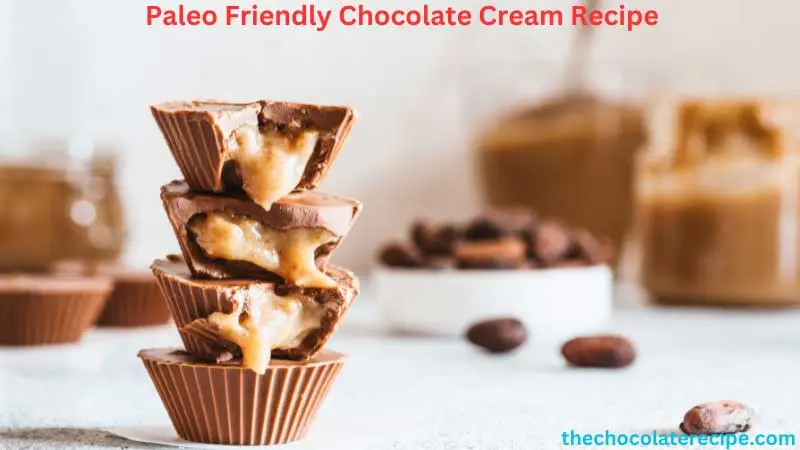 Paleo Friendly Chocolate Cream Recipe
