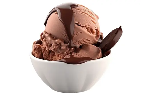 Vegan Chocolate Ice Cream Recipe |